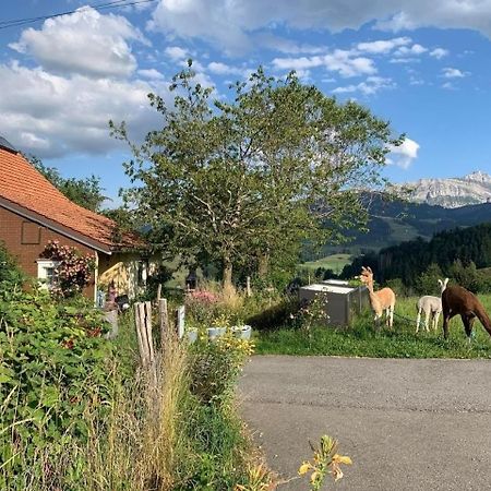 Ferienwohnung Tiererlebnishof Windegg Urnäsch Exteriér fotografie