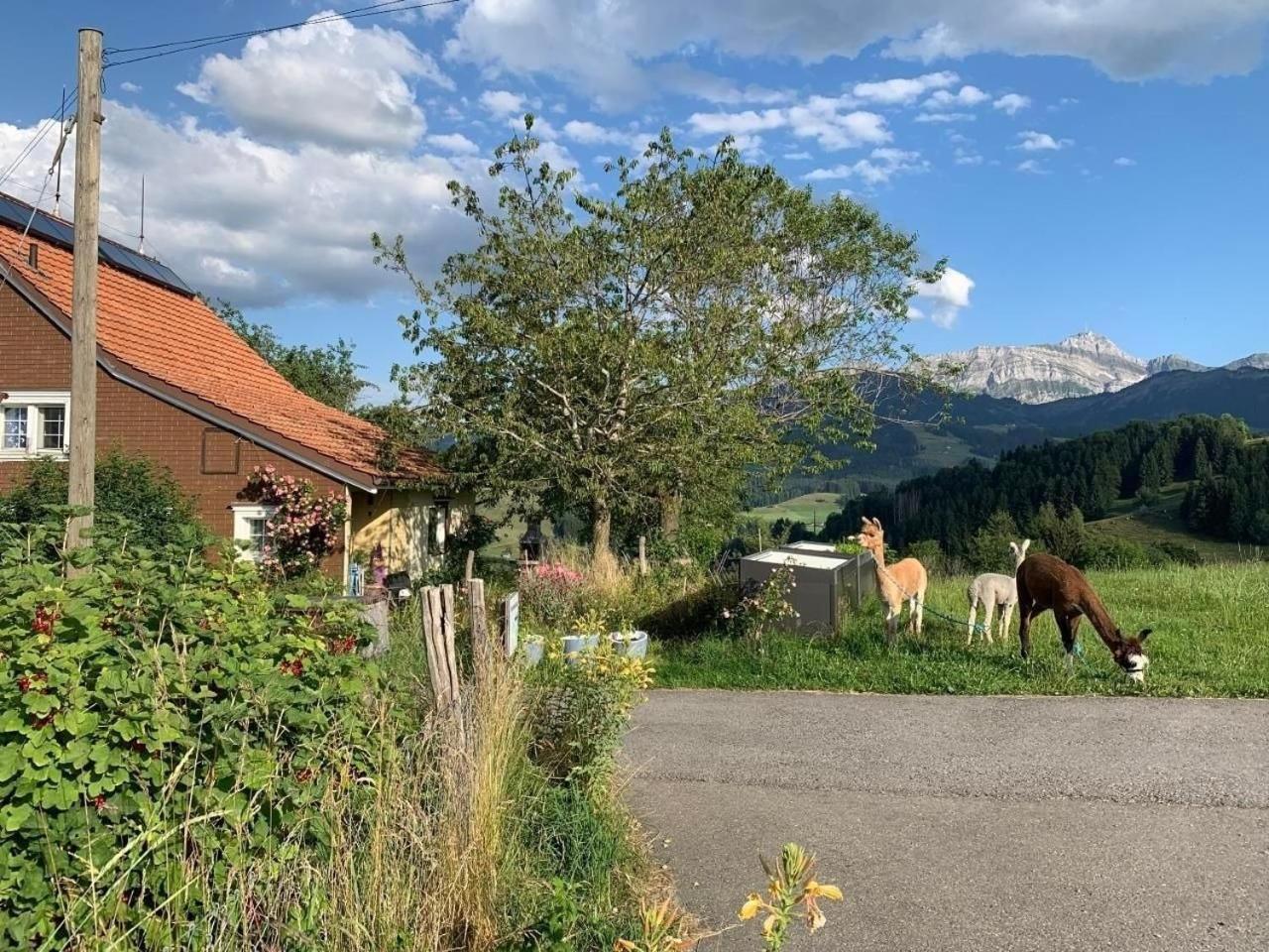 Ferienwohnung Tiererlebnishof Windegg Urnäsch Exteriér fotografie